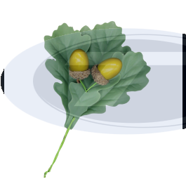 Eichenlaub für Schützenhut