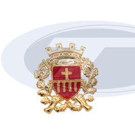 Abzeichen der Kämper-Kompanie