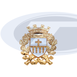 Abzeichen der Western-Kompanie