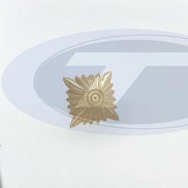 Obristen-,Generalstern  Ø 31mm, 22x22 mm, gold