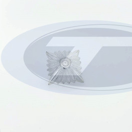 Obristen-,Generalstern  Ø 31mm, 22x22 mm, silber