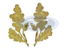 Krageneichenlaub, groß, gold (Paar)