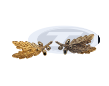 Krageneichenlaub, 2 Blätter, 2 Eicheln, vergoldet  (Paar)